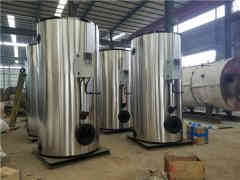  12吨冷凝热水开云篮球_开云篮球(中国集团)股份有限公司