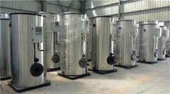  15吨低氮冷凝蒸汽开云篮球_开云篮球(中国集团)股份有限公司