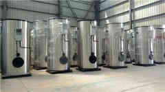  8吨冷凝热水开云篮球_开云篮球(中国集团)股份有限公司