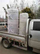  两吨冷凝燃气开云篮球_开云篮球(中国集团)股份有限公司