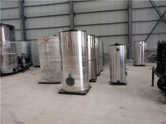 CWNS2.8型燃油气热水开云篮球_开云篮球(中国集团)股份有限公司