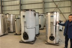 8吨低氮燃气开云篮球_开云篮球(中国集团)股份有限公司