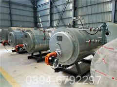 6吨生物质热水开云篮球_开云篮球(中国集团)股份有限公司