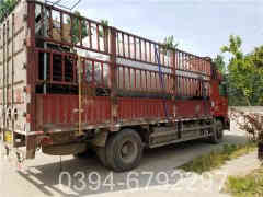 开云篮球_开云篮球(中国集团)股份有限公司蒸汽系统