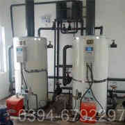 2吨燃气低氮开云篮球_开云篮球(中国集团)股份有限公司