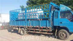 六吨燃油开云篮球_开云篮球(中国集团)股份有限公司