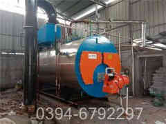 燃气卧式蒸汽开云篮球_开云篮球(中国集团)股份有限公司