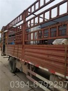 YYQW-700低氮真空开云篮球_开云篮球(中国集团)股份有限公司