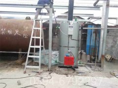 0.7吨柴油蒸汽开云篮球_开云篮球(中国集团)股份有限公司