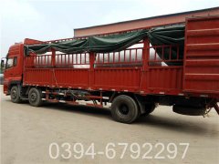 0.1吨蒸汽开云篮球_开云篮球(中国集团)股份有限公司