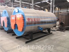 6吨生物质热水开云篮球_开云篮球(中国集团)股份有限公司