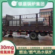 WNS0.5-1.0-QY天然气蒸汽开云篮球_开云篮球(中国集团)股份有限公司银晨开云篮球_开云篮球(中国集团)股份有限公司客户服务