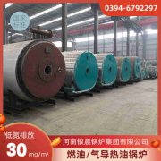 0.3吨蒸汽开云篮球_开云篮球(中国集团)股份有限公司河南银晨开云篮球_开云篮球(中国集团)股份有限公司