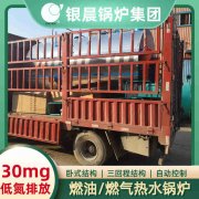 1吨燃气热水开云篮球_开云篮球(中国集团)股份有限公司