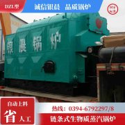 12吨低氮冷凝开云篮球_开云篮球(中国集团)股份有限公司