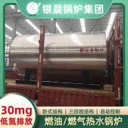 卧式燃煤蒸汽开云篮球_开云篮球(中国集团)股份有限公司