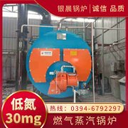 10吨低氮冷凝开云篮球_开云篮球(中国集团)股份有限公司