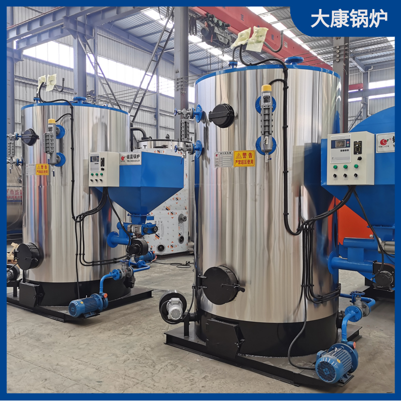 二吨生物质卧式开云篮球_开云篮球(中国集团)股份有限公司