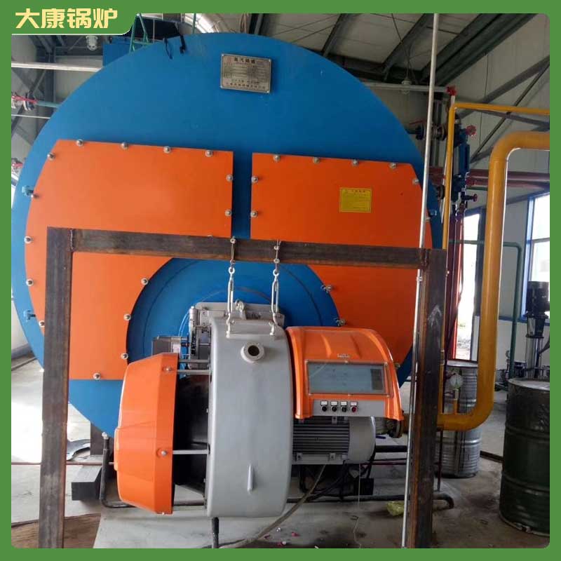 二吨生物质卧式开云篮球_开云篮球(中国集团)股份有限公司