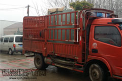 清明放假，贯流开云篮球_开云篮球(中国集团)股份有限公司发货