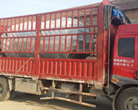 出口澳大利亚燃气蒸汽开云篮球_开云篮球(中国集团)股份有限公司