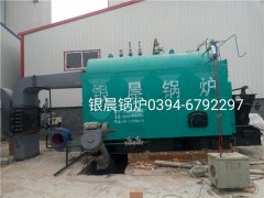 DZL2-1.25-T型2吨生物质蒸汽开云篮球_开云篮球(中国集团)股份有限公司安装现场