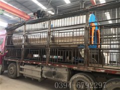 6吨燃气蒸汽开云篮球_开云篮球(中国集团)股份有限公司