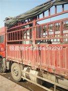 LSS0.5-1.0-Q型0.5吨贯流式燃气蒸汽开云篮球_开云篮球(中国集团)股份有限公司发货